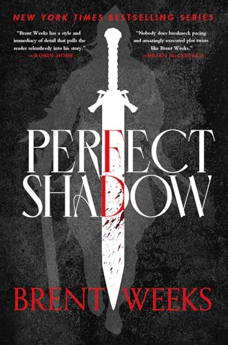 Perfect Shadow book cover