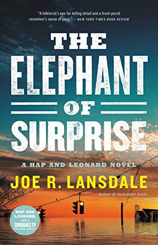 The Elephant of Surprise book cover