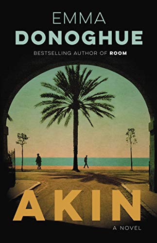 Akin book cover