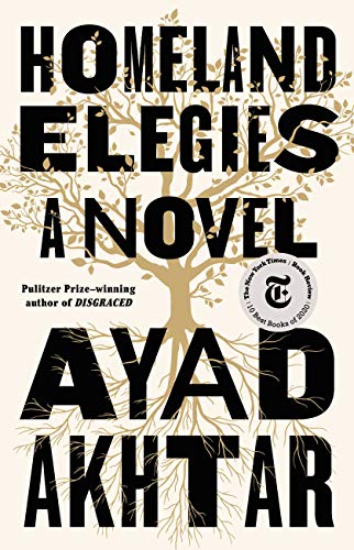 Homeland Elegies book cover
