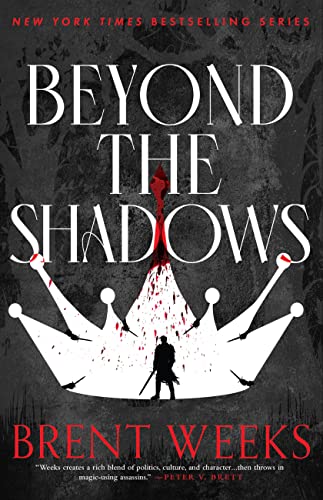 Beyond the Shadows book cover