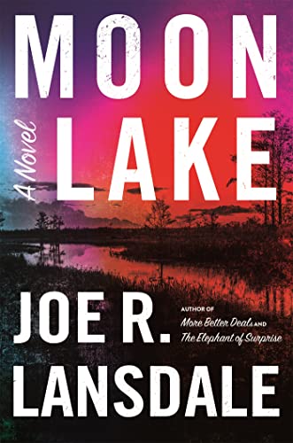 Moon Lake book cover