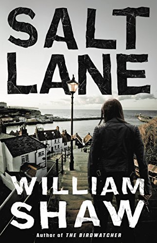 Salt Lane book cover