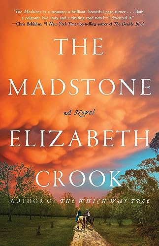 The Madstone : by Crook, Elizabeth