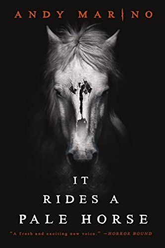 It Rides a Pale Horse book cover