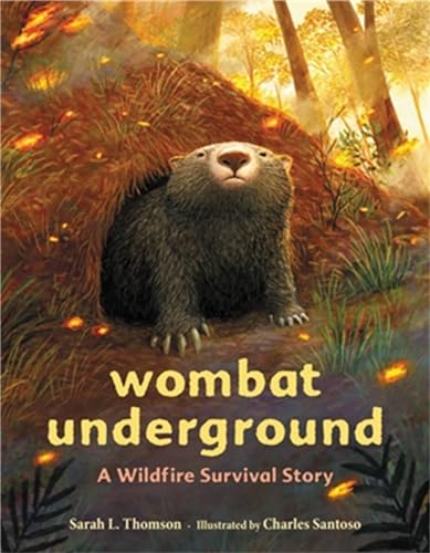 Cover of Wombat Underground