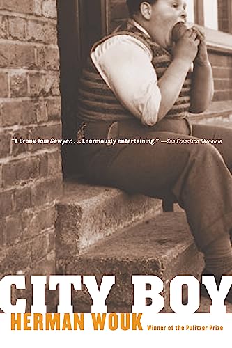 The City Boy: The Adventures of Herbie Bookbinder cover