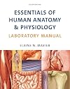 Essentials of Human Anatomy & Physiology Laboratory Manual