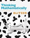 Thinking Mathematically