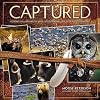 Captured: Lessons from Behind the Lens of a Legendary Wildlife Photographer (Voices That Matter)