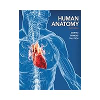 Human Anatomy