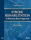 Stroke Rehabilitation: A Function-Based Approach