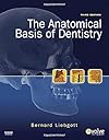 The Anatomical Basis of Dentistry
