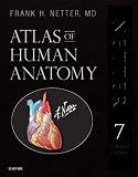 Atlas Of Human Anatomy Professional Edition Including Netterreferencecom Access With Full Downloadable Image Bank Netter Basic Science