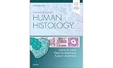 Stevens Lowes Human Histology