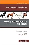 Wound Management In The Horse An Issue Of Veterinary Clinics Of North America Equine Practice