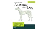 Millers Anatomy Of The Dog