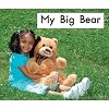 My Big Bear (Fountas and Pinnell Leveled Literacy Intervention Books, Orange System, Level B, Book 6)