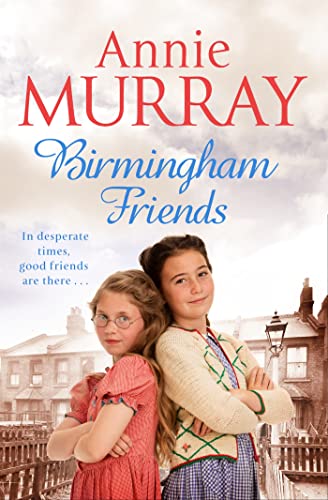 Birmingham Friends book cover