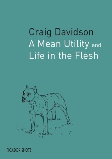 A Mean Utility book cover
