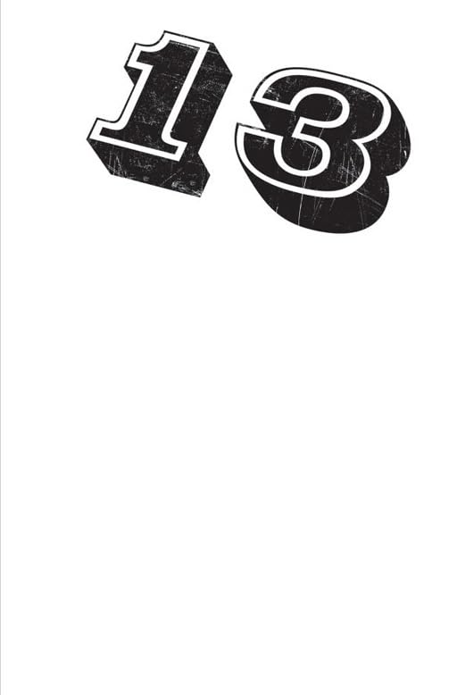 New Writing 13 book cover