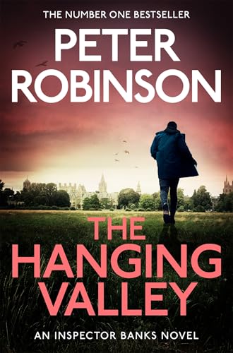 The Hanging Valley book cover