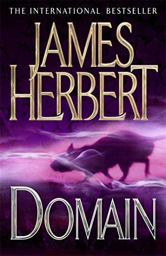 Domain book cover