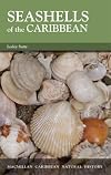 Seashells of the Caribbean