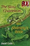 Amazon cover image