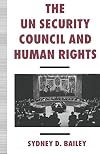 The UN Security Council and human rights