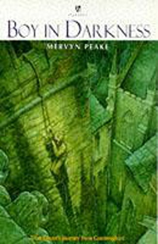 Boy in Darkness book cover