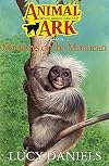 Monkeys on the Mountain (Animal Ark)