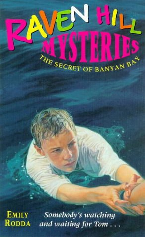 The Secret of Banyan Bay book cover