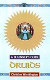 Druids: A Beginner's Guide (Beginner's Guides)