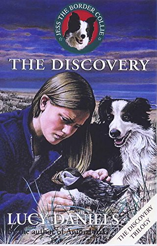 The Discovery book cover