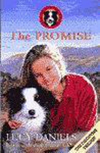 The Promise book cover