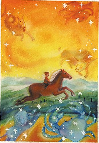 Ludo and the Star Horse book cover