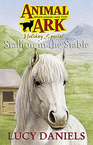 Stallion in the Stable book cover
