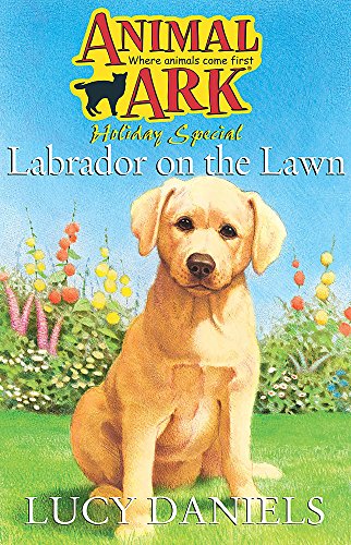 Labrador on the Lawn cover