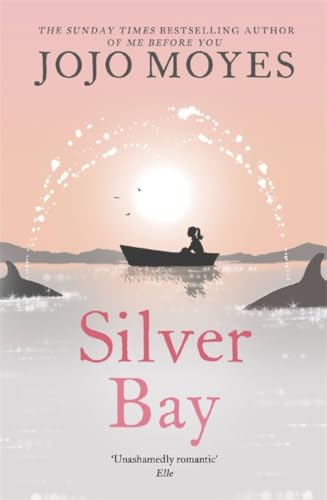 Silver Bay book cover