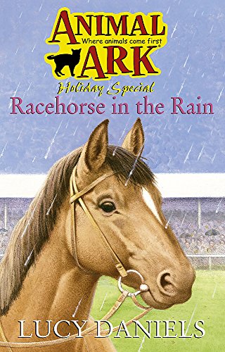 Racehorse in the Rain cover