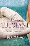 Book cover for “Big Stone Gap”