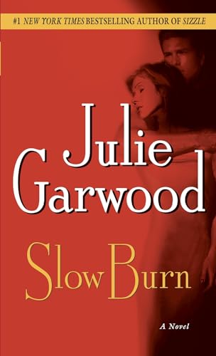 Slow Burn book cover