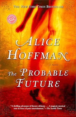 The Probable Future book cover