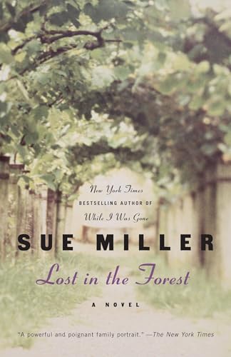 Lost in the Forest book cover