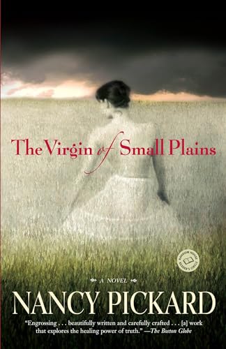The Virgin of Small Plains book cover