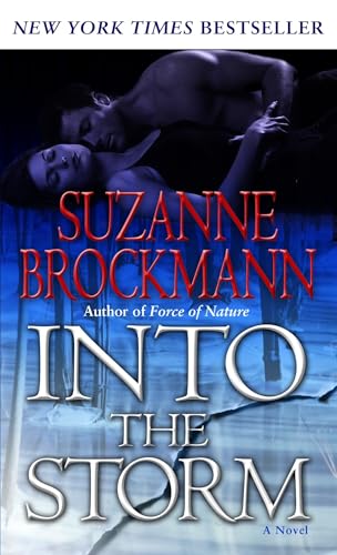 Into the Storm book cover