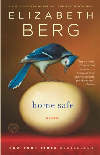 Home Safe book cover