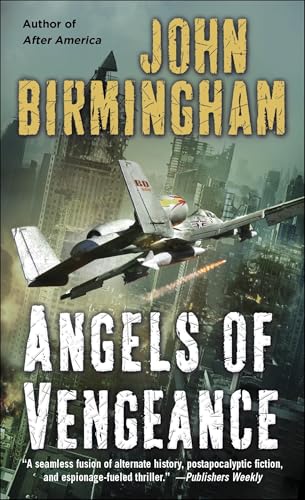 Angels Of Vengeance book cover