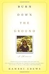 Burn Down the Ground: A Memoir